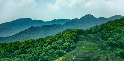 以保護環境為己任